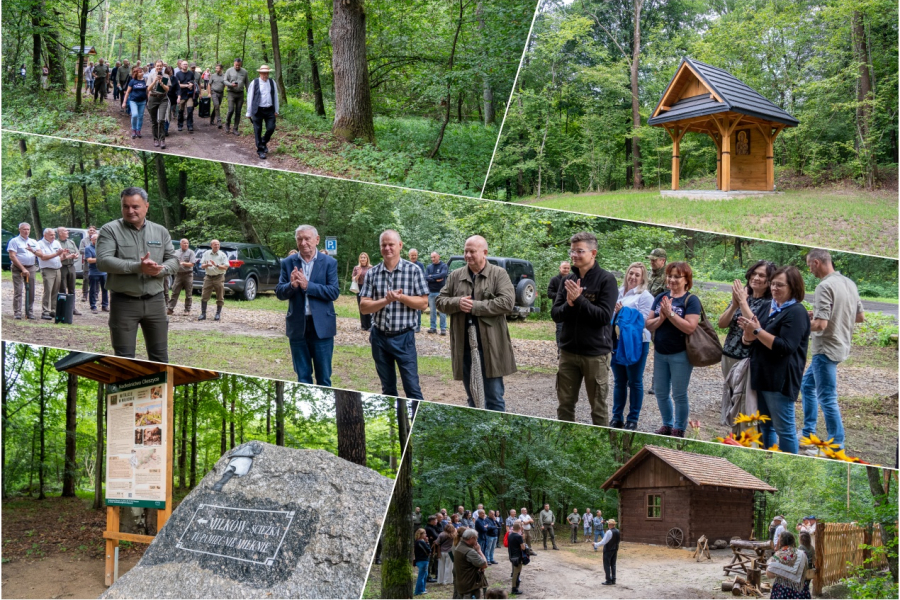 Nadleśnictwo Oleszyce otworzyło ścieżkę historyczno-przyrodniczą „Miłków” [ZOBACZ ZDJĘCIA]