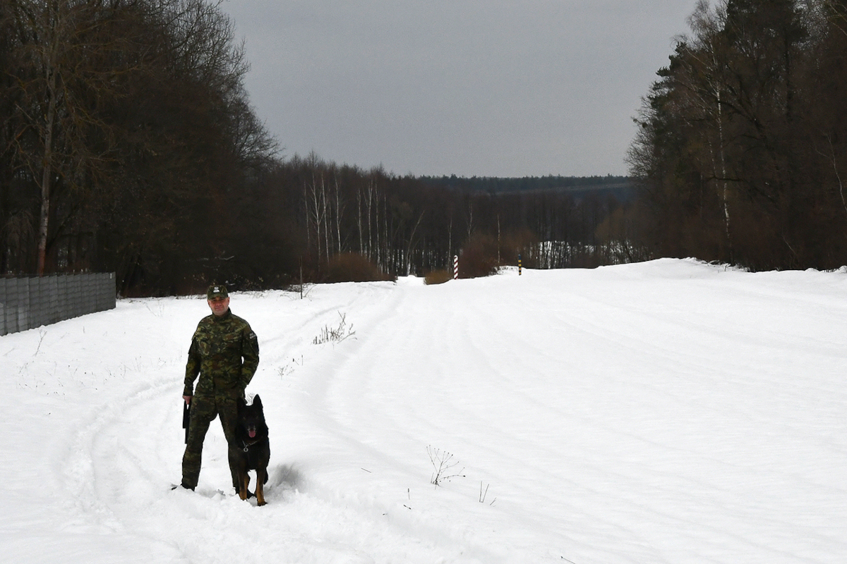 Funkcjonariusz Straży Granicznej z placówki w Lubaczowie podczas służby w rejonie zewnętrznej granicy Unii Europejskiej, wspólnie z psem służbowym.