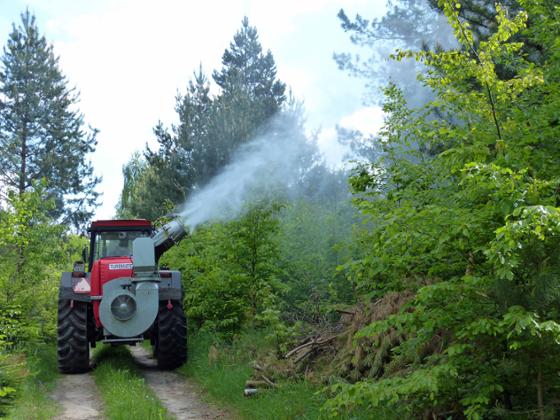 fot. Nadleśnictwo Lubaczów