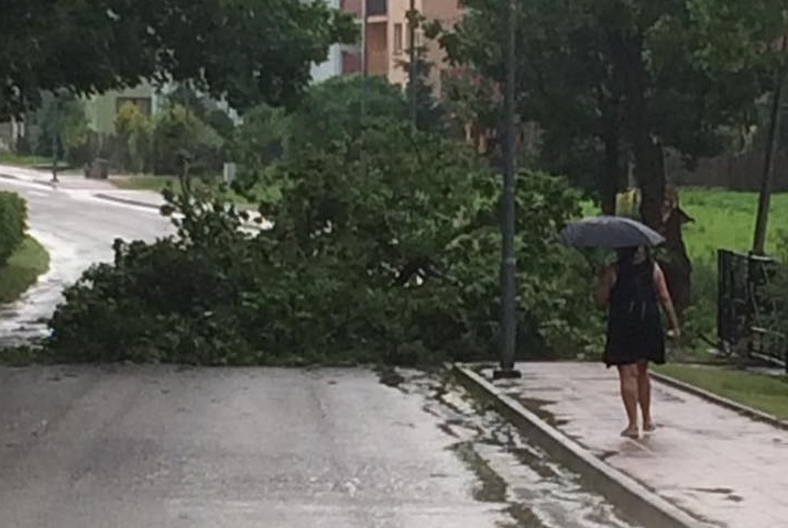 Powalone drzewa na drogach fot. facebook.com/gmina.horyniec/