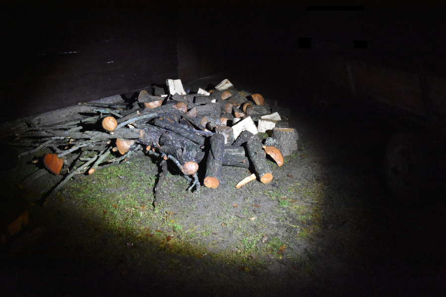 49-latek kradł drewno z lasu. Grozi mu 5 lat więzienia