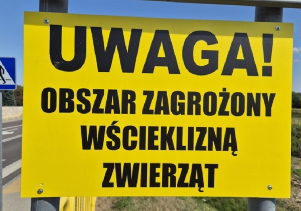 Gmina Narol: wyznaczono obszar zagrożenia wścieklizną