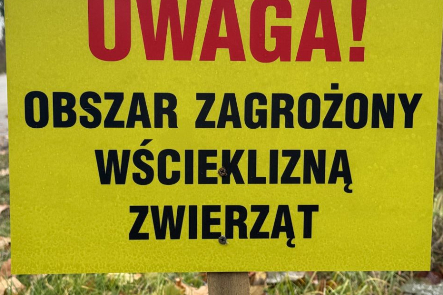 Obszar zagrożony wścieklizną w Gminie Wielkie Oczy