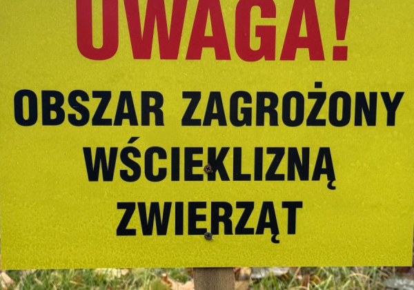 Obszar zagrożony wścieklizną w Gminie Wielkie Oczy