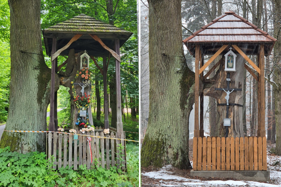 Leśnicy z Oleszyc odnowili kapliczkę postawioną przez księcia Józefa Sapiehę [ZDJĘCIA]