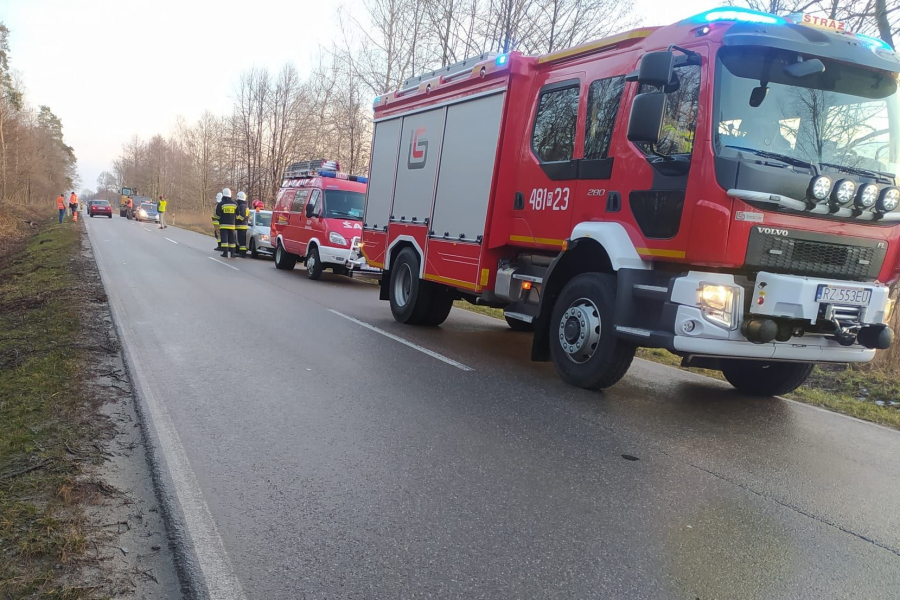 Zderzenie auta z dzikim zwierzęciem na trasie Dachnów – Futory