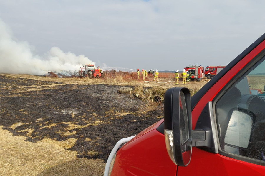 Coraz więcej pożarów traw. Akcja gaśnicza w Futorach [ZDJĘCIA]