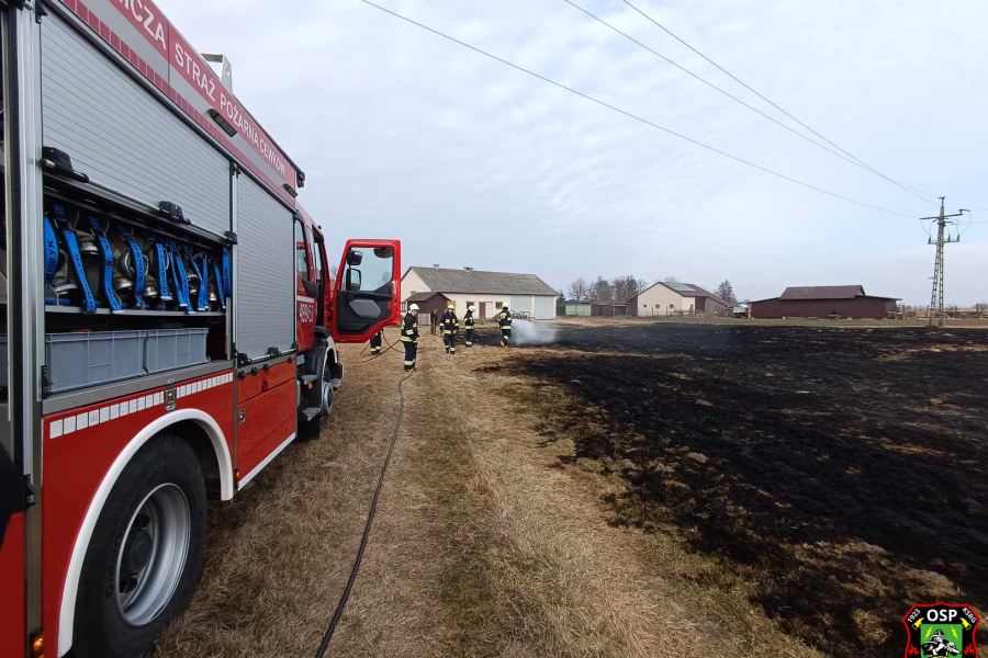 Niebezpieczne pożary traw i lasu w regionie. Dwie interwencje strażaków jednego dnia