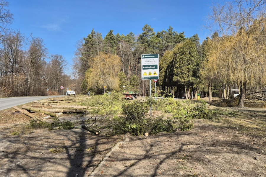 Uroczysko Horaj w nowej odsłonie - Nadleśnictwo Oleszyce prowadzi prace