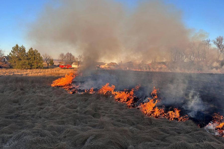 Pożary traw w Chlewiskach. Strażacy ugasili pożar, ale po chwili musieli wracać [ZDJĘCIA]