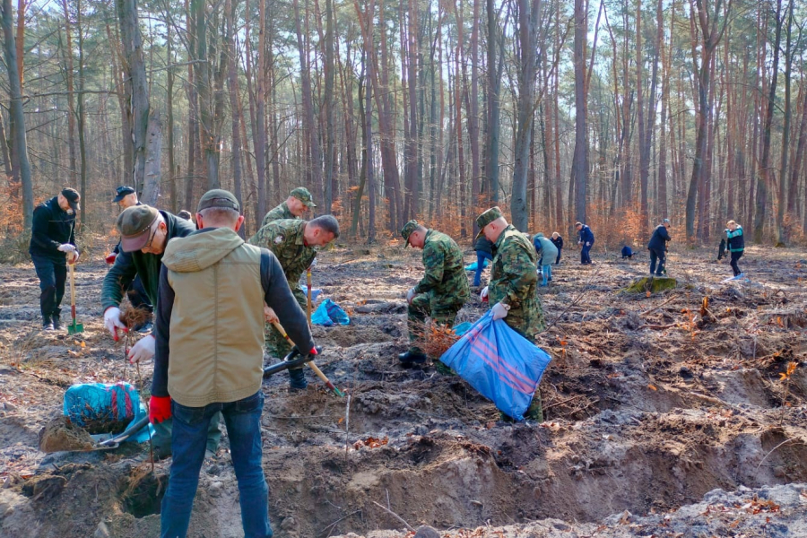 Nadleśnictwo Lubaczów: Posadzili las na nowe 100-lecie [ZOBACZ ZDJĘCIA]