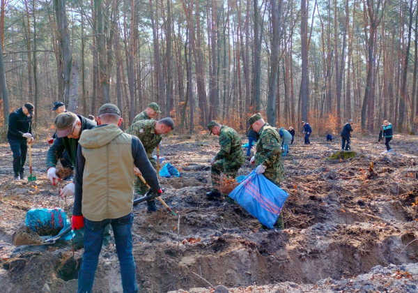 Nadleśnictwo Lubaczów: Posadzili las na nowe 100-lecie [ZOBACZ ZDJĘCIA]