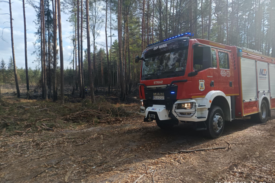 Ponowna interwencja strażaków w Rudzie Różanieckiej. W lesie znów pojawił się ogień