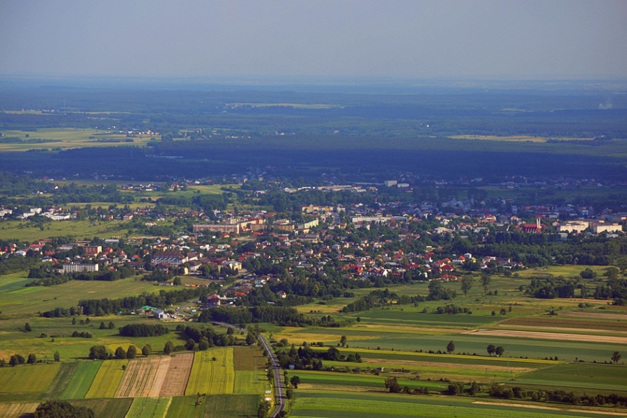 "Owocowe" nazwy ulic w Lubaczowie?