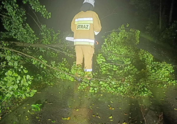 Burzowa noc w powiecie lubaczowskim. Strażacy usuwali powalone drzewa do rana
