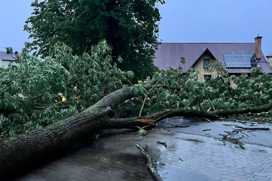 Ponad 100 zgłoszeń po nawałnicy. Strażacy apelują do mieszkańców