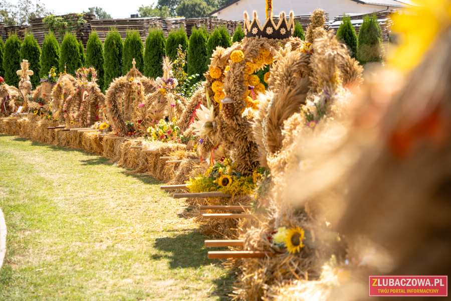 Dożynki Powiatowo-Gminne 2025. Znamy program!