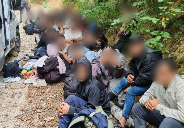 Polacy zatrzymani za przewóz imigrantów! W busie było 47 osób