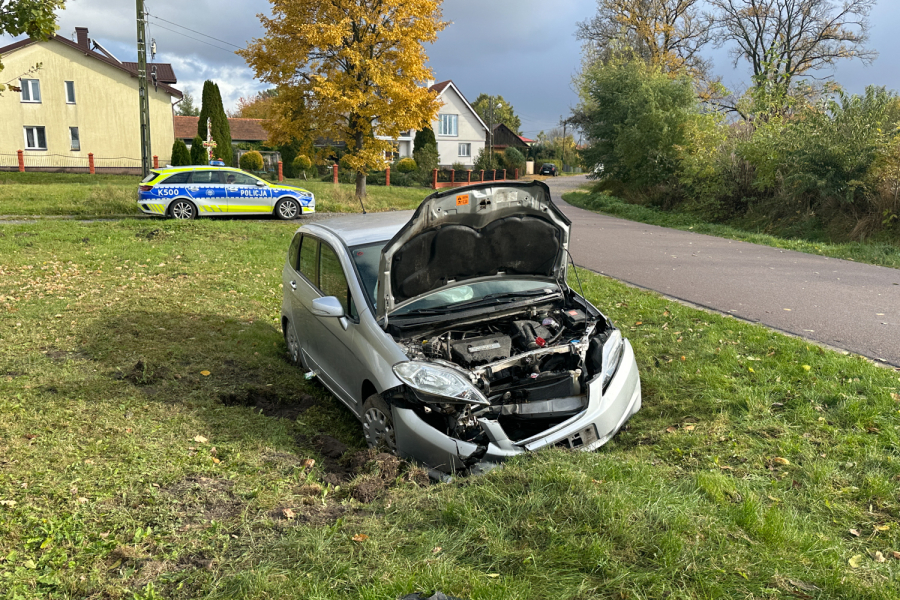 Ułazów: Honda wpadła do rowu. 64-letni kierowca ranny [ZDJĘCIA]
