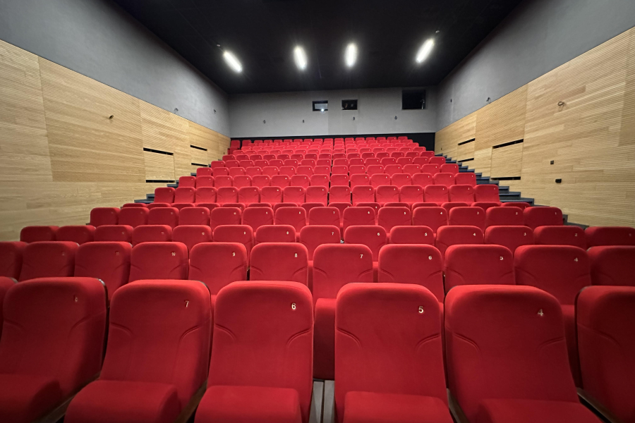 Repertuar kina w Lubaczowie na styczeń. Co zaplanowano na początek roku?