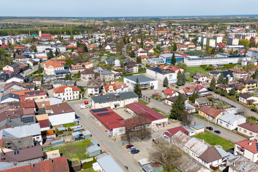 To już koniec zimy? Nawet 15°C w przyszłym tygodniu [PROGNOZA]