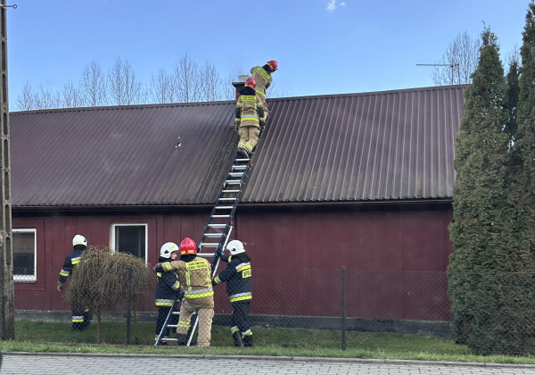 Pożar w Starych Oleszycach. Kilka zastępów straży na miejscu, są utrudnienia w ruchu