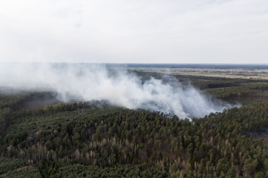 Wielki pożar lasu w pobliżu Cewkowa. Na miejscu kilkanaście zastępów [ZDJĘCIA][VIDEO]