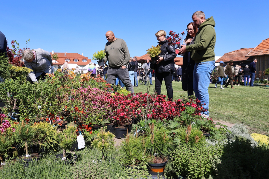 Kwiaty, drzewka i regionalne produkty. Wiosenna Giełda Ogrodnicza już 26 kwietnia