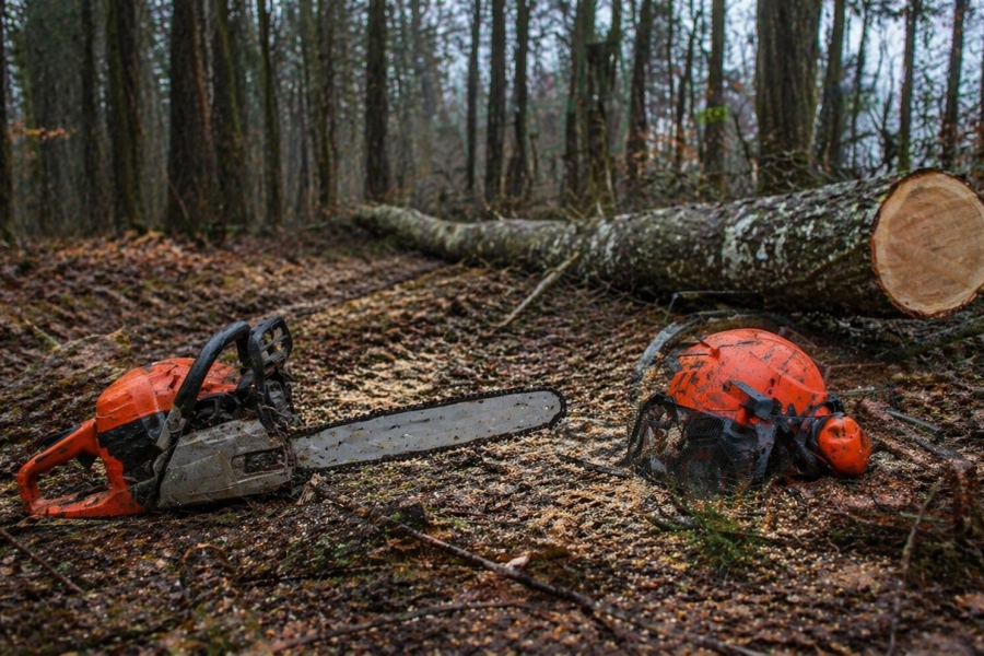 Dramat rodziny z gminy Narol. Dwaj bracia zginęli przy wycince drzew