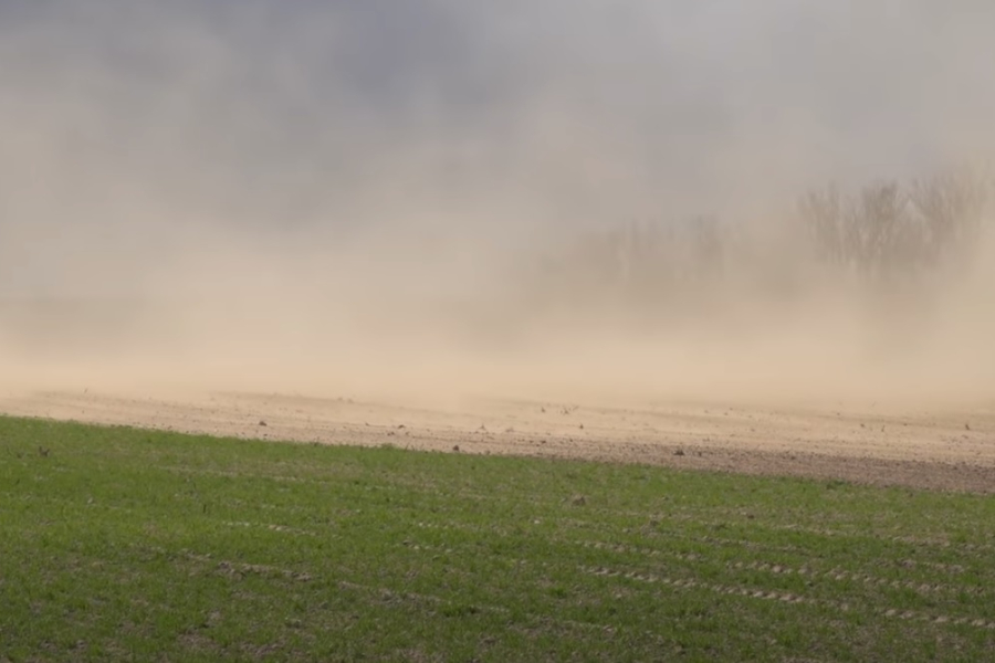 Nietypowe zjawisko w powiecie lubaczowskim. Pojawiły się burze piaskowe [VIDEO]