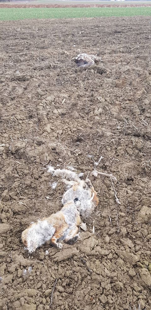 fot. czytelnik zlubaczowa.pl