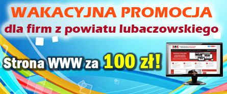Wielka promocja, 100 złotych za profesjonalną stronę internetową!