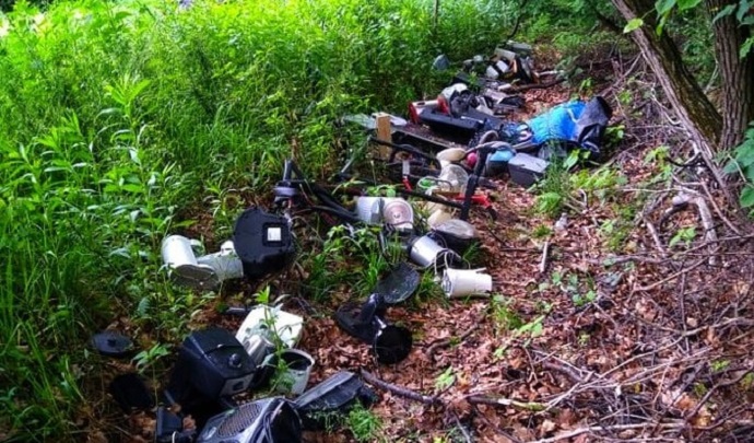 Śmieci w lesie fot. archiwum Lasy Państwowe