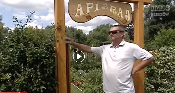 TVP Rzeszów: Pszczoły, które leczą, czyli apiterapia w Cieszanowie [VIDEO]