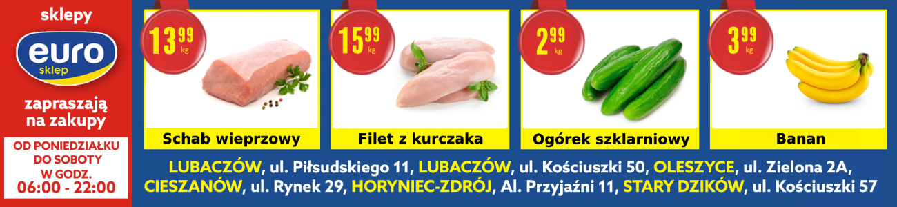 Euro - gazetka