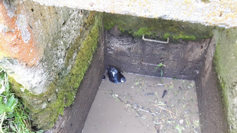 Uwięziony bóbr w studzience /fot. KP PSP Lubaczów