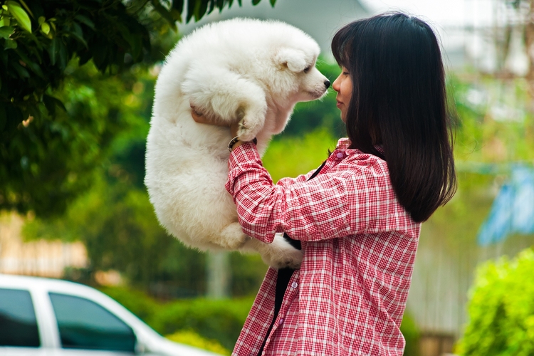 Petsitters - zaopiekujemy się waszymi zwierzętami podczas waszej nieobecności