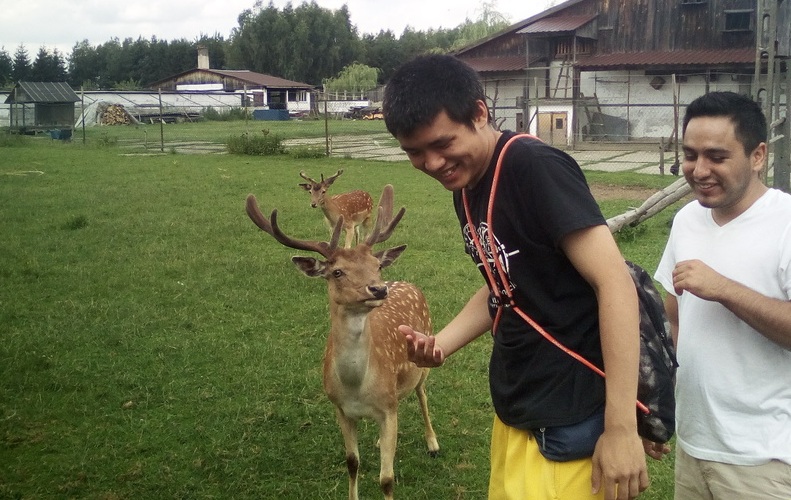 fot. lubaczow.com.pl