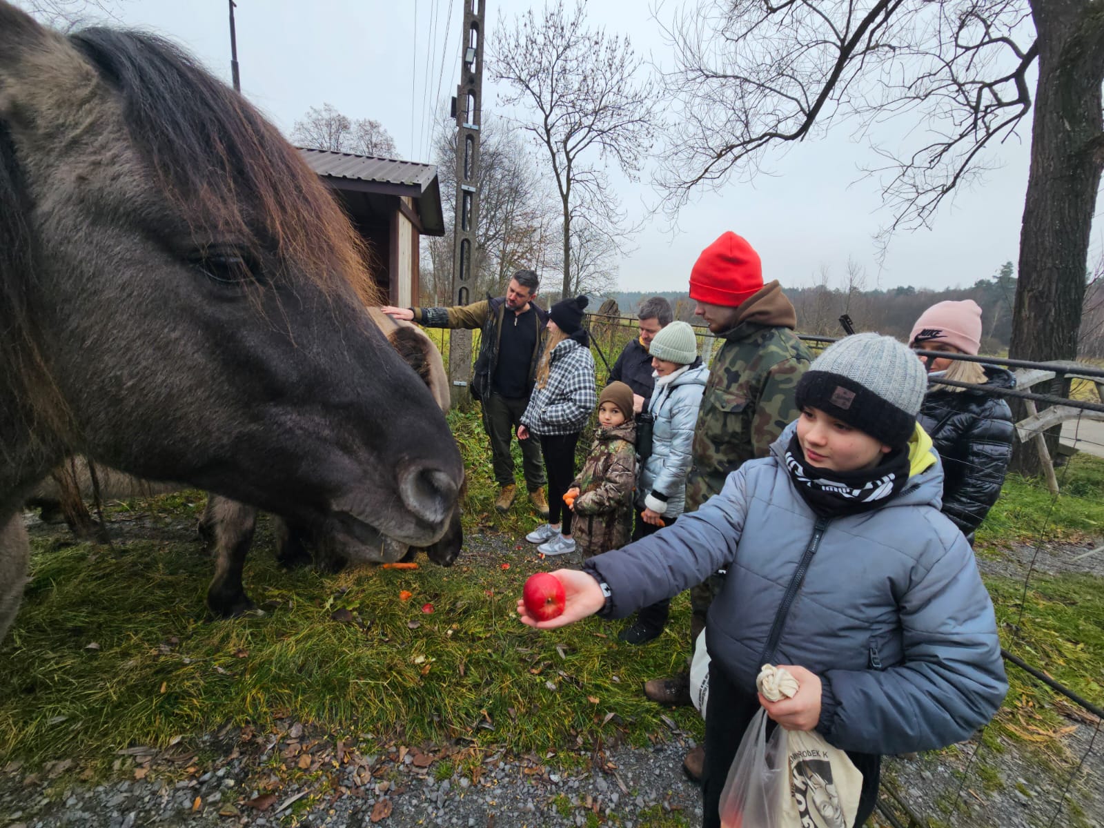 Jak koniki polskie pomagają ptakom? Uczniowie z Oleszyc działają na rzecz przyrody