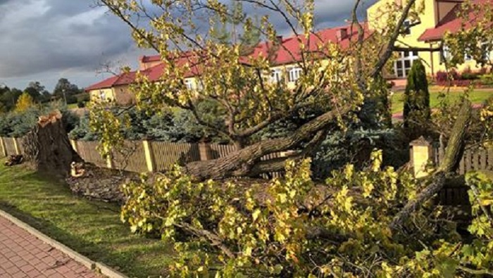 fot. czytelnik zlubaczowa.pl