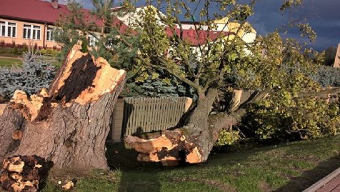 fot. czytelnik zlubaczowa.pl