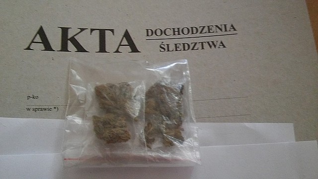 22-letni mieszkaniec gminy Oleszyce zatrzymany za posiadanie marihuany