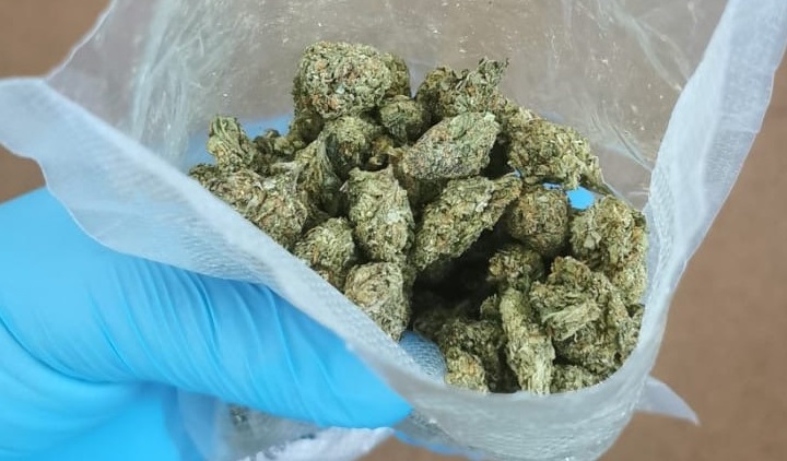 22-latek z gminy Narol miał przy sobie marihuanę. Próbował uciec policjantom