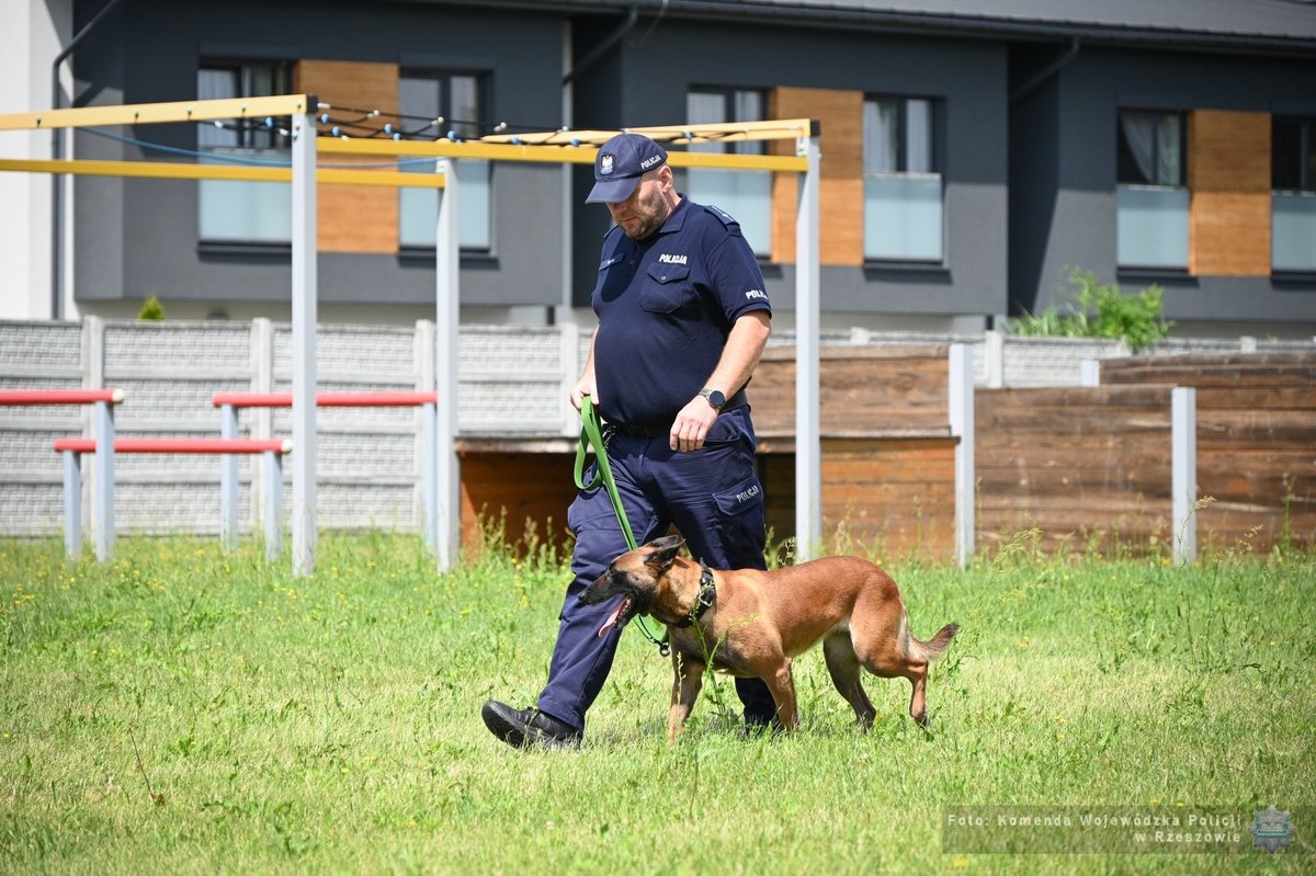 Olimpia z Lubaczowa najlepszym psem policyjnym na Podkarpaciu!