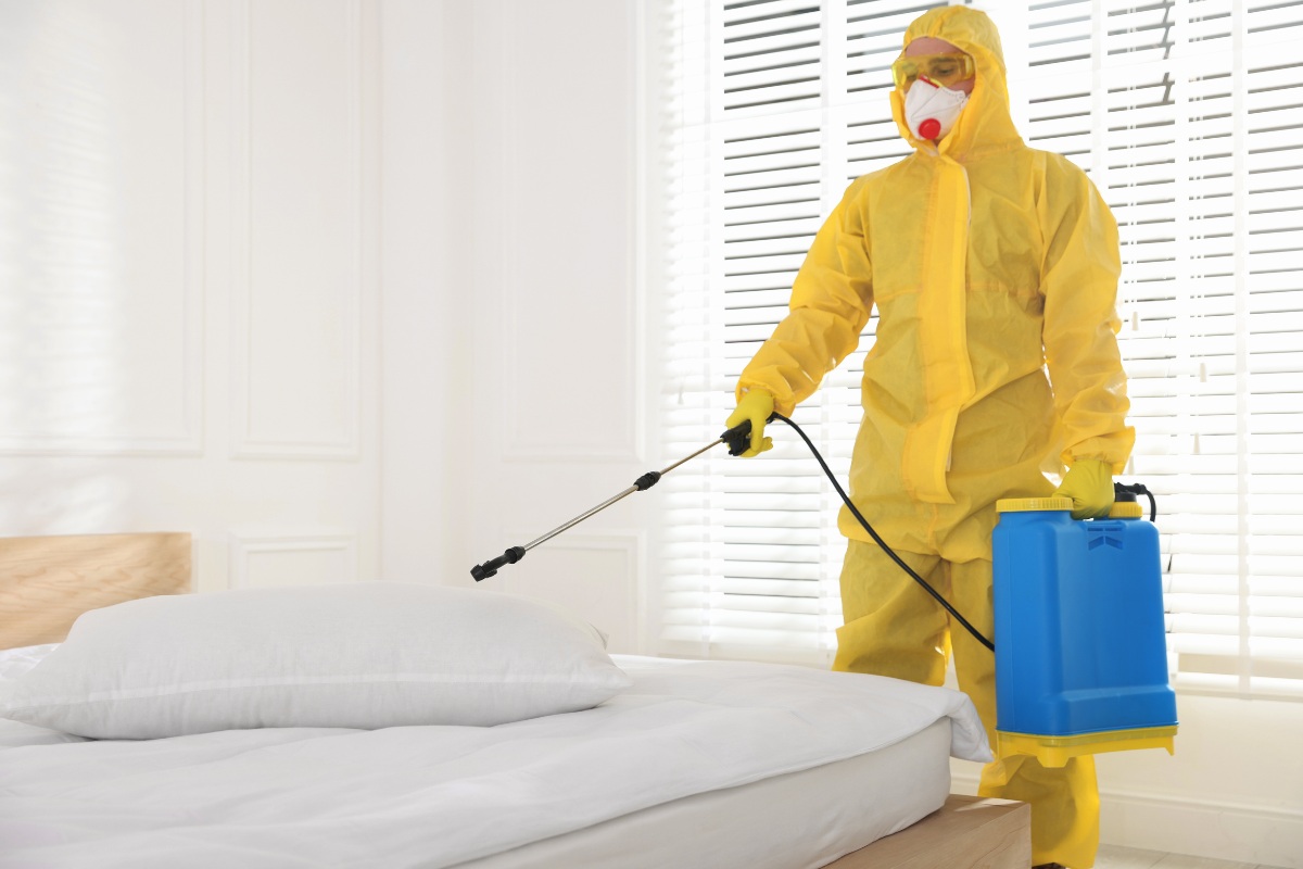 Pozbądź się pluskiew - kompletny przewodnik po skutecznej eliminacji pluskiew łóżkowych