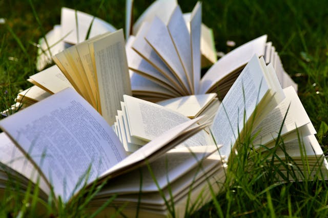 Księgarnia Ania w Pruszkowie — lokalne serce literatury, które warto odwiedzić