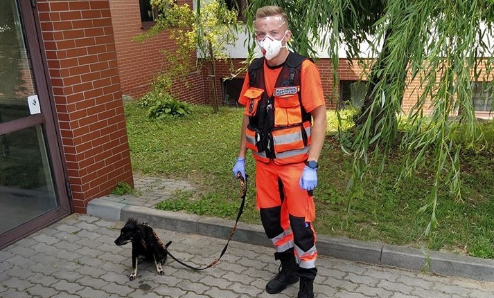 Niezwykły gest ratowników medycznych z Lubaczowa. Zaopiekowali się psem