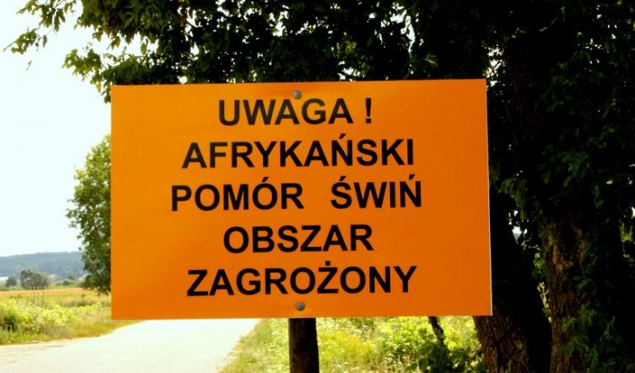 Informacja dla rolników utrzymujących świnie