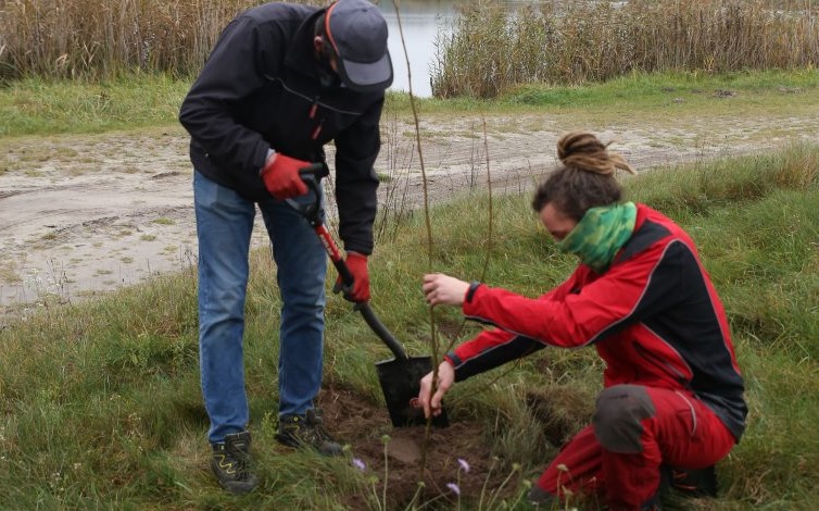 W gminie Narol sadzili miododajne drzewa