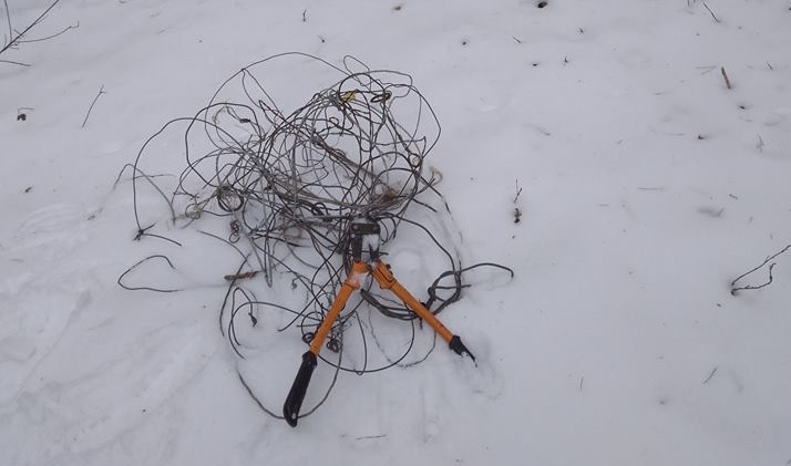 fot. Nadleśnictwo Lubaczów